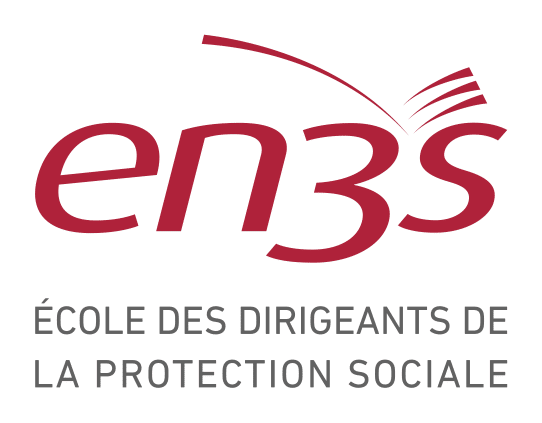 Logo de EN3S